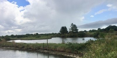 Sentier Détours N°3 - Mornac-sur-Seudre