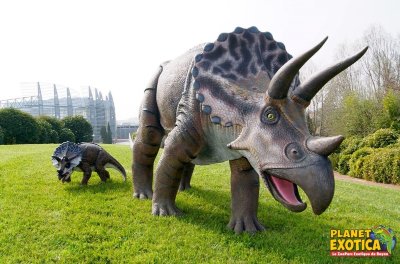 Dinoland - Planet Exotica