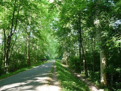 Réserve naturelle de la Robertsau