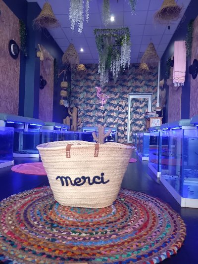 COMME UN POISSON DANS L'Ô - FISH SPA