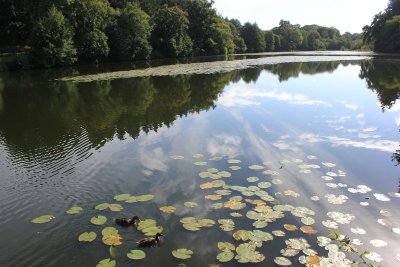 Étang du Moulin aux Moines