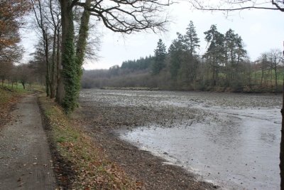 Étang du Moulin neuf