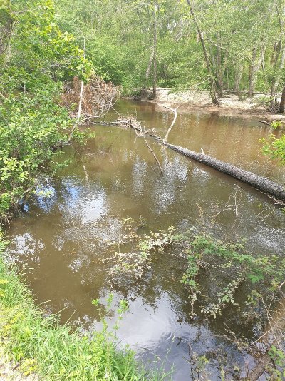 Le belvedère du Ciron