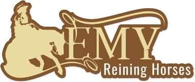 Centre Equitation Western : Emy Reining Horses