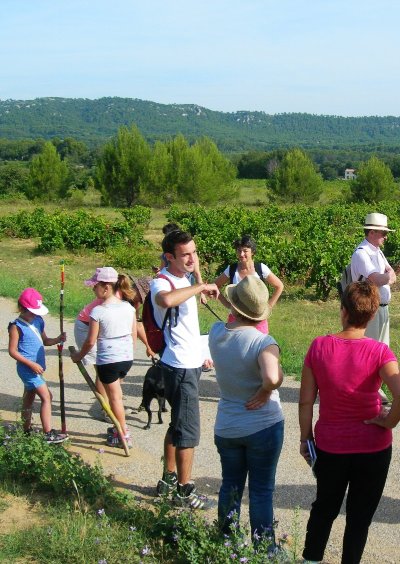 Le sentier des Vignerons de Rognes