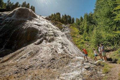 Sentier découverte et botanique du Bois de la Laye