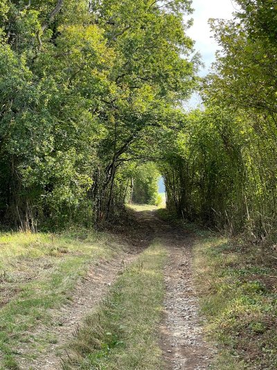 Le Plateau et le Fond des Vallées