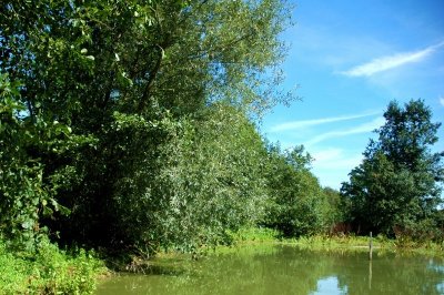 Le Bois Chenu : Parc Ecologique Urbain
