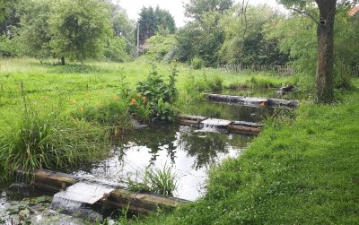 Jardin d'eau et de poésie