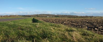 Les jardins du cygne