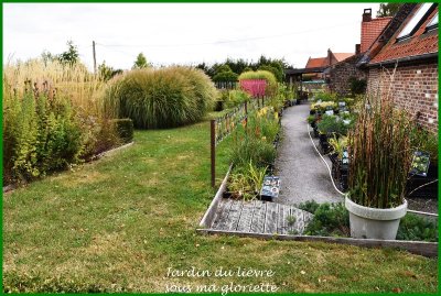 Le jardin du lièvre