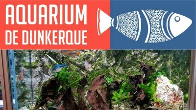 L'Aquarium de Dunkerque