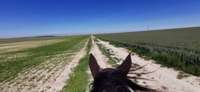 Centre équestre de Menois