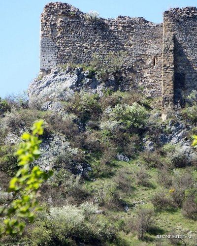 Ruines du Château de Rochefort