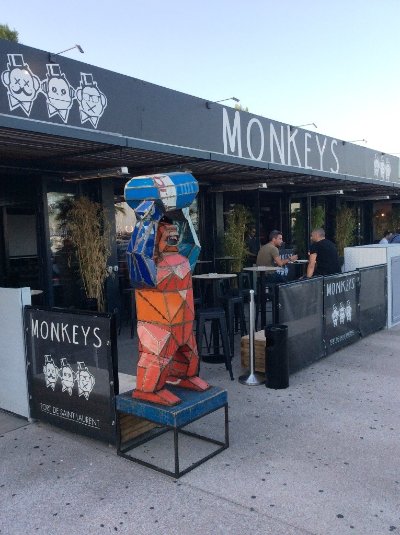 Monkey's