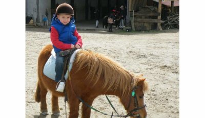 Domaine équestre de Boise