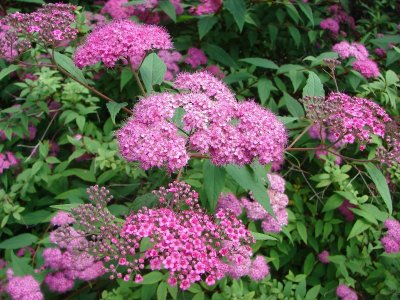 GRP® du Gâtinais Puisaye