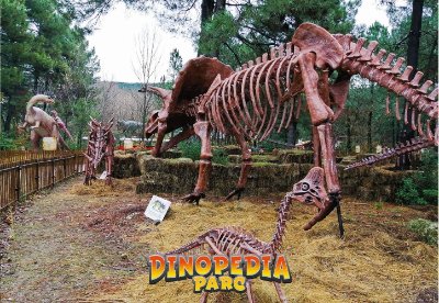Dinopedia Parc