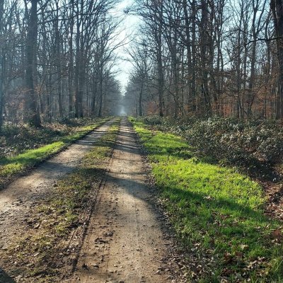 PR 2 : Parcours de la forêt de Bagnolet