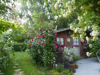 Le jardin Phil O' Vent