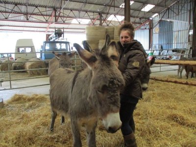 LES ANESSES DE LA CÔTE DU PUITS