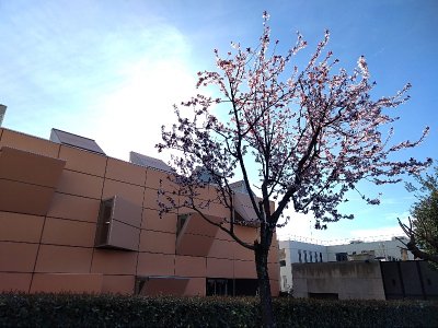 Archives nationales d'Outre Mer