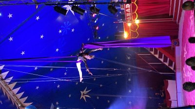 Cirque Paradiso Le Parc