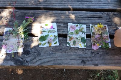 NAPPE DE MONTPEYROUX A ROQUEBRUN