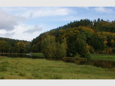 Etang du col de Steige