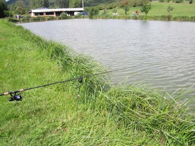 Etang  de pêche Syffersmatt