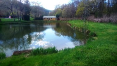Etang des Anciens Papetiers de Turckheim - Klausteinen