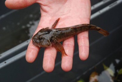Pêche dans le Lac de la Lauch