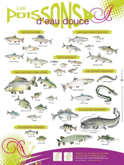 Pêche dans les étangs du Saint Gangolph