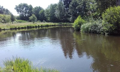 Etang de pêche