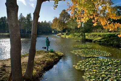 Pêcher en Alsace Bossue