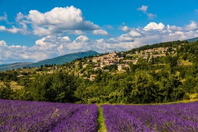 Sentier botanique du hameau des Crottes