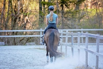 Les écuries Pégase