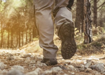 Découverte de Ventadour