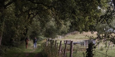 Espace Naturel Départemental : le sentier de la Bergeronnette