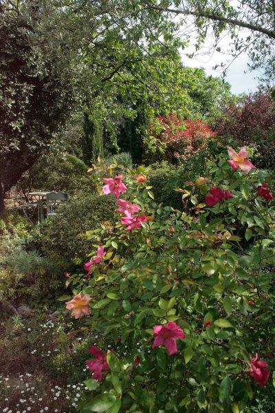 LE JARDIN DE LA TAILLADE