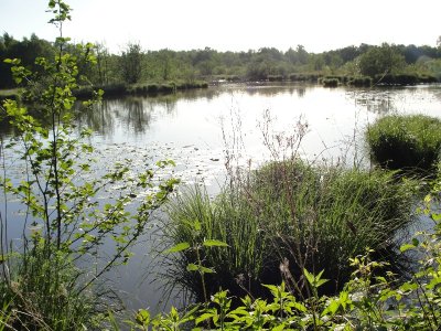 Réserve Naturelle Nationale de La Truchère-Ratenelle
