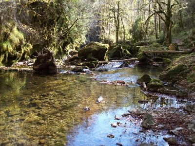 Les Gorges de l'Abîme