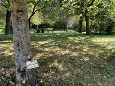 Arboretum de Vignoles