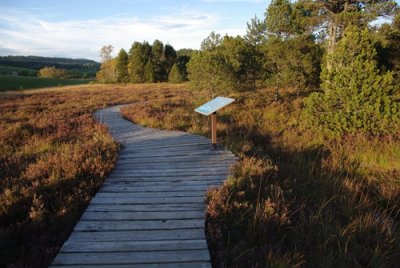 Réserve Naturelle Régionale des tourbières du bief du Nanchez