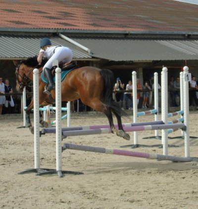 Centre équestre du Moirot