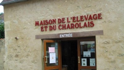 Visite Guidée Couplée du Musée de l'Elevage et du Charolais et du Marché au Cadran