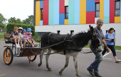 Les calèches de la Bohême