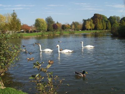 Les Jardins d'Eau Pierre Doudeau