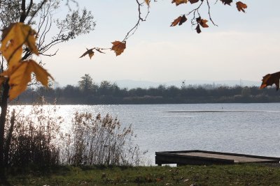 Les Etangs d'Or - Parc Eco Loisirs de Merceuil Tailly