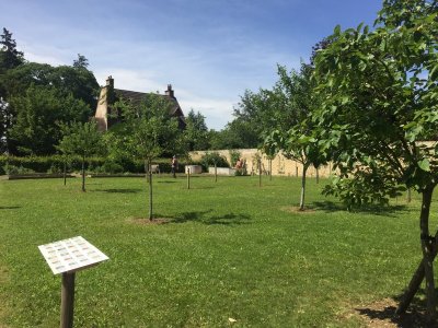 Jardin des Carmélites